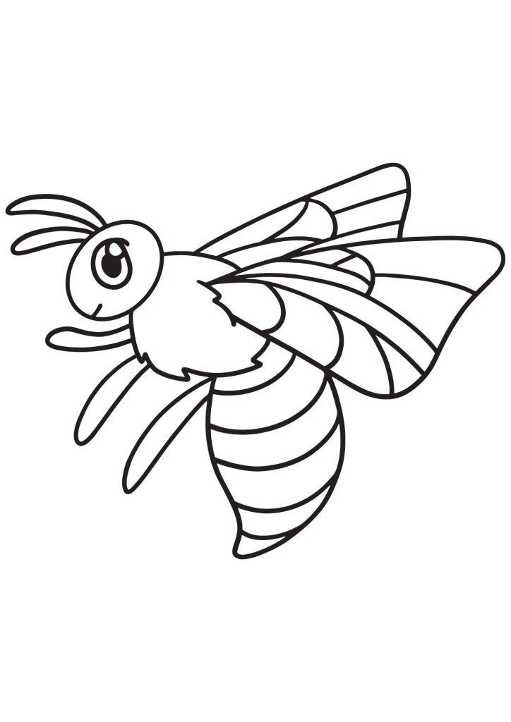 abelha zangão para colorir