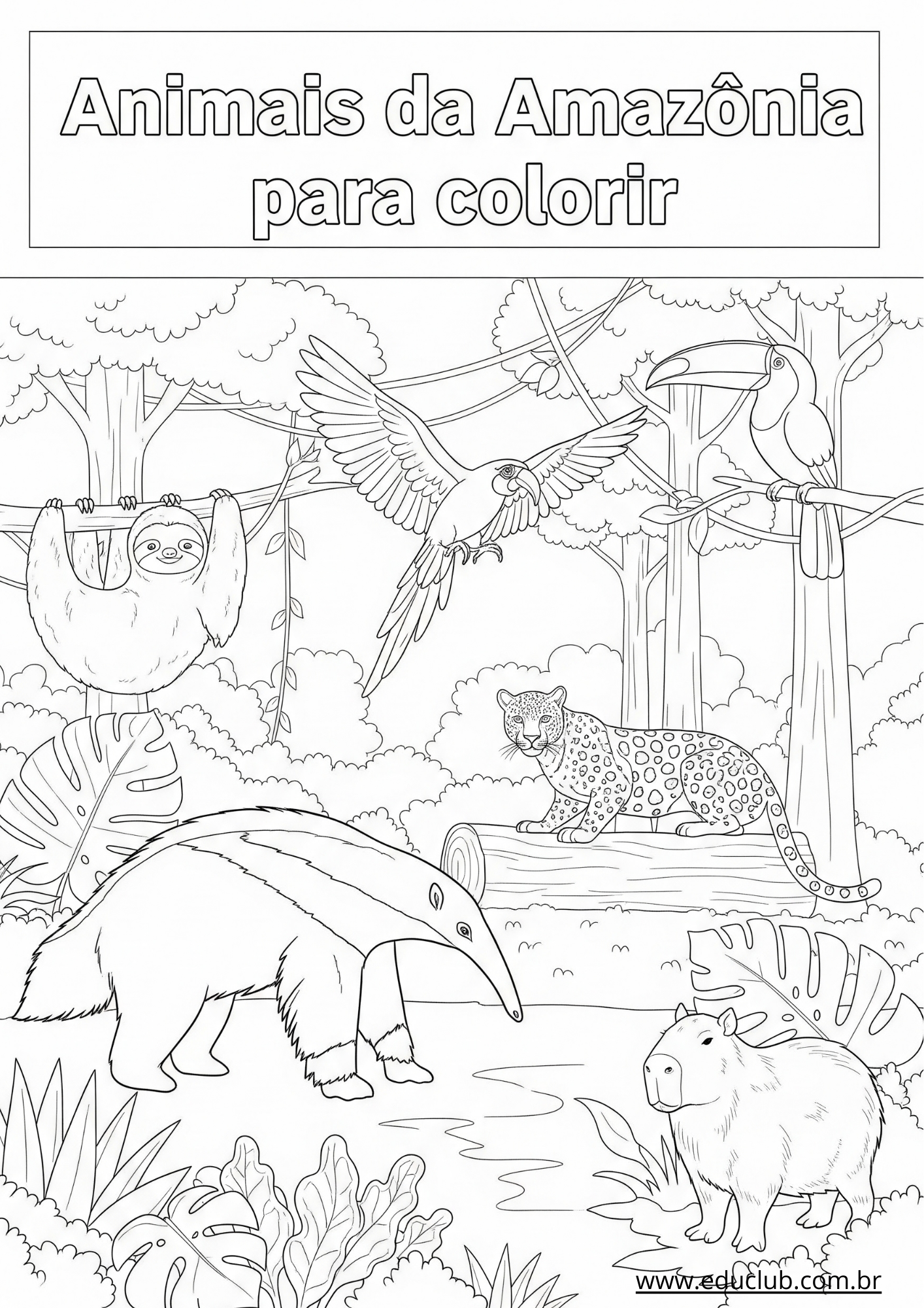 desenhos de pássaros para colorir