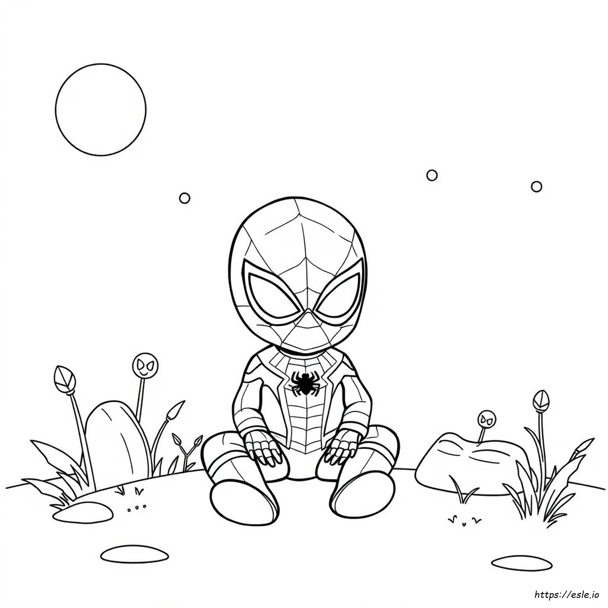materiais para colorir desenhos de aranha