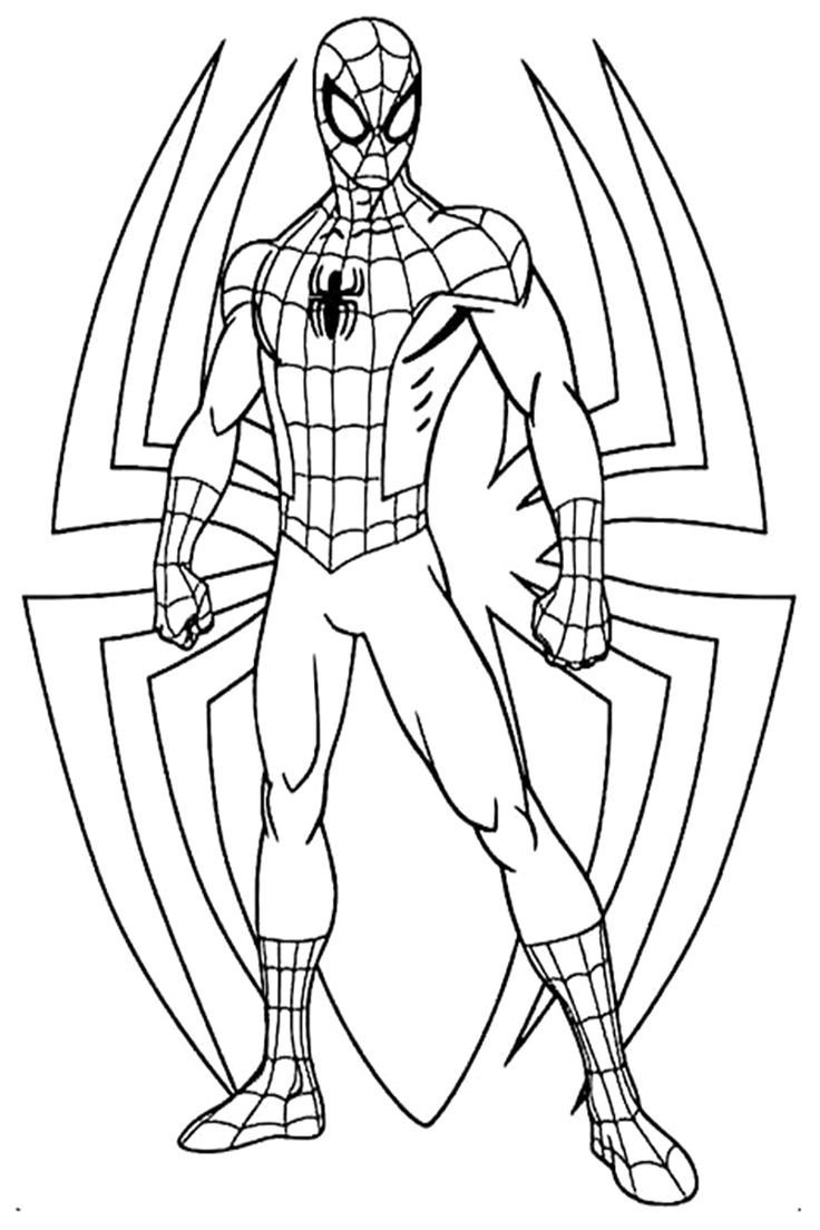 colorir aranha fácil
