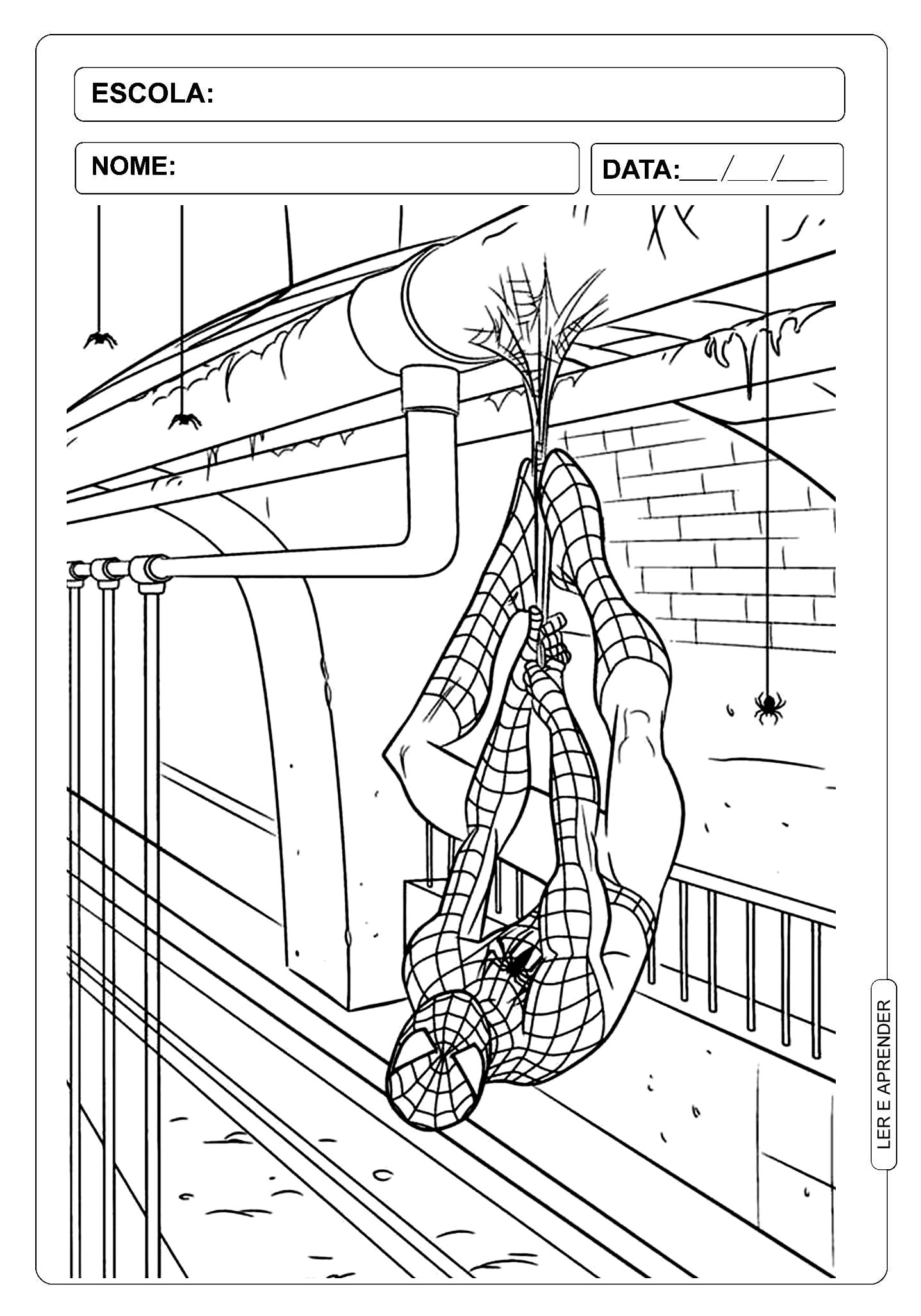 aranha para pintar