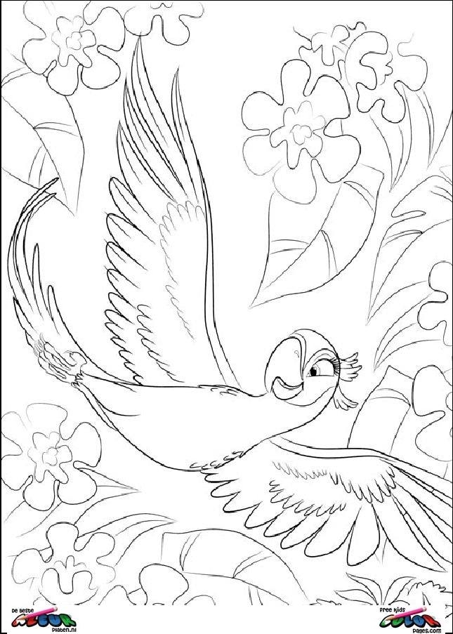 desenho de ave brasileira para colorir