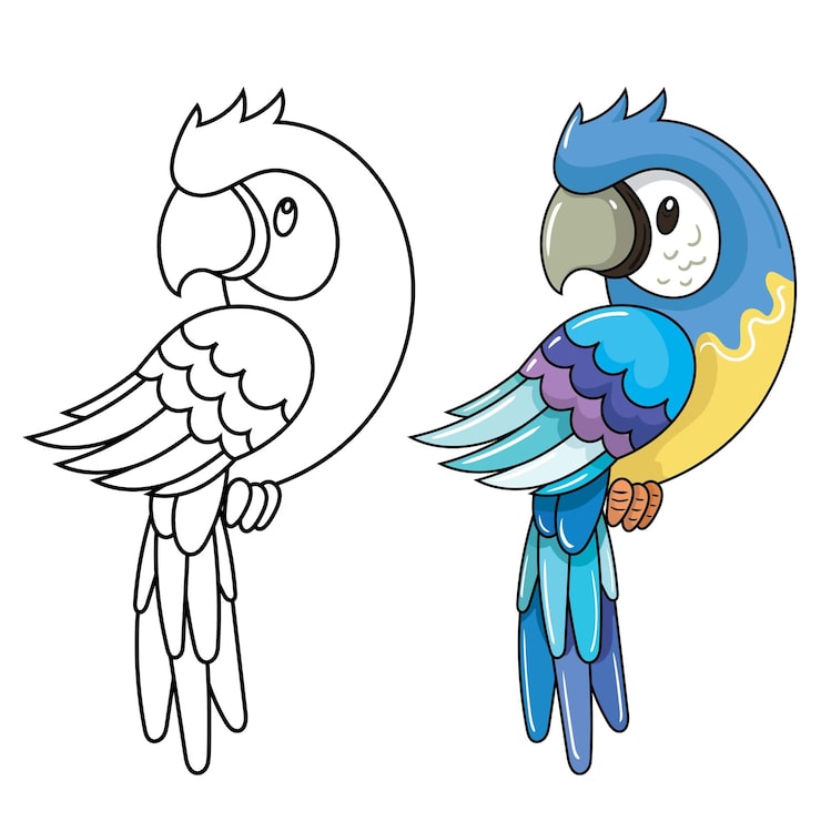 arara azul para pintar