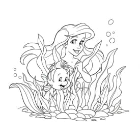 princesa Ariel desenhos