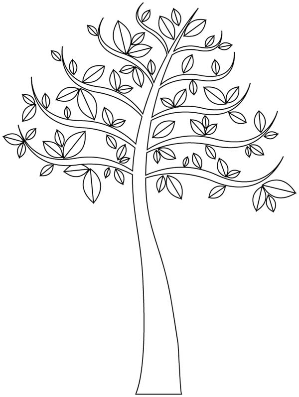 desenhos de árvores para crianças