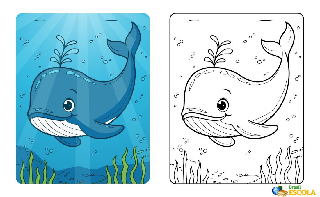 desenho de baleia fofa para colorir