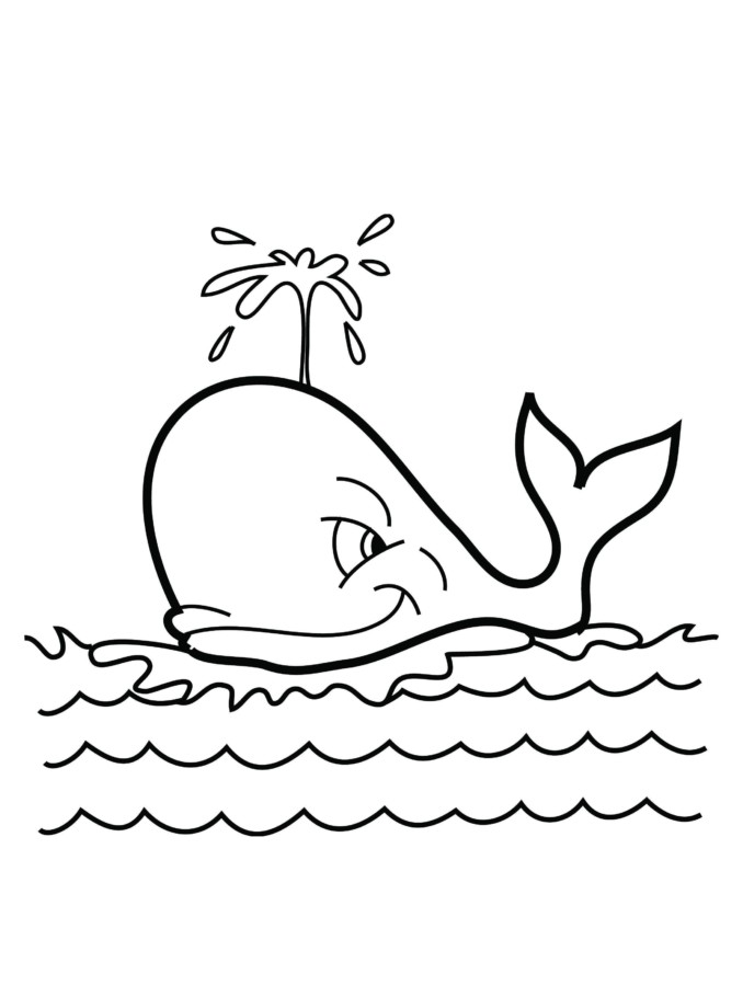 desenho de orca para colorir