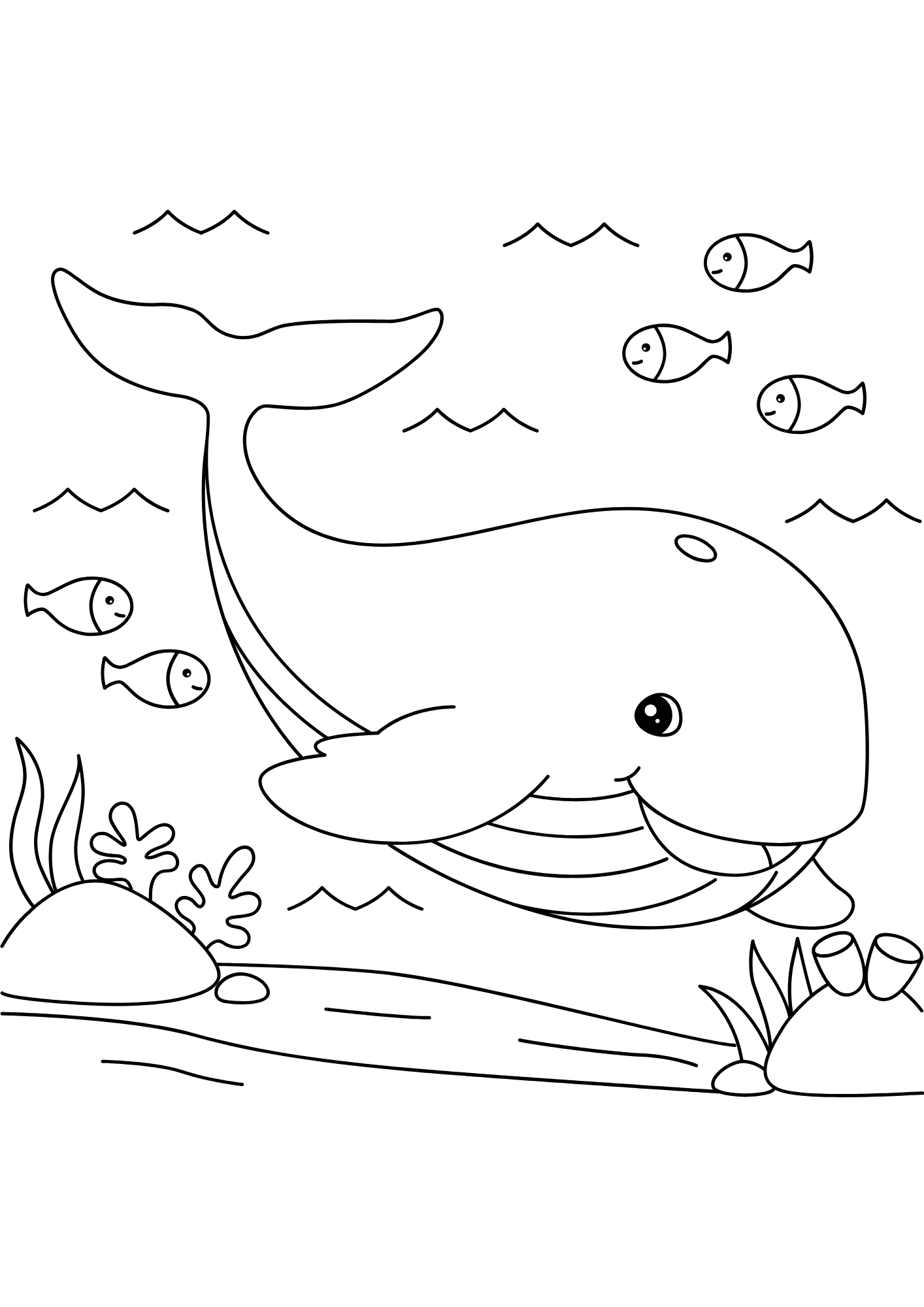 desenho de baleia para pintar