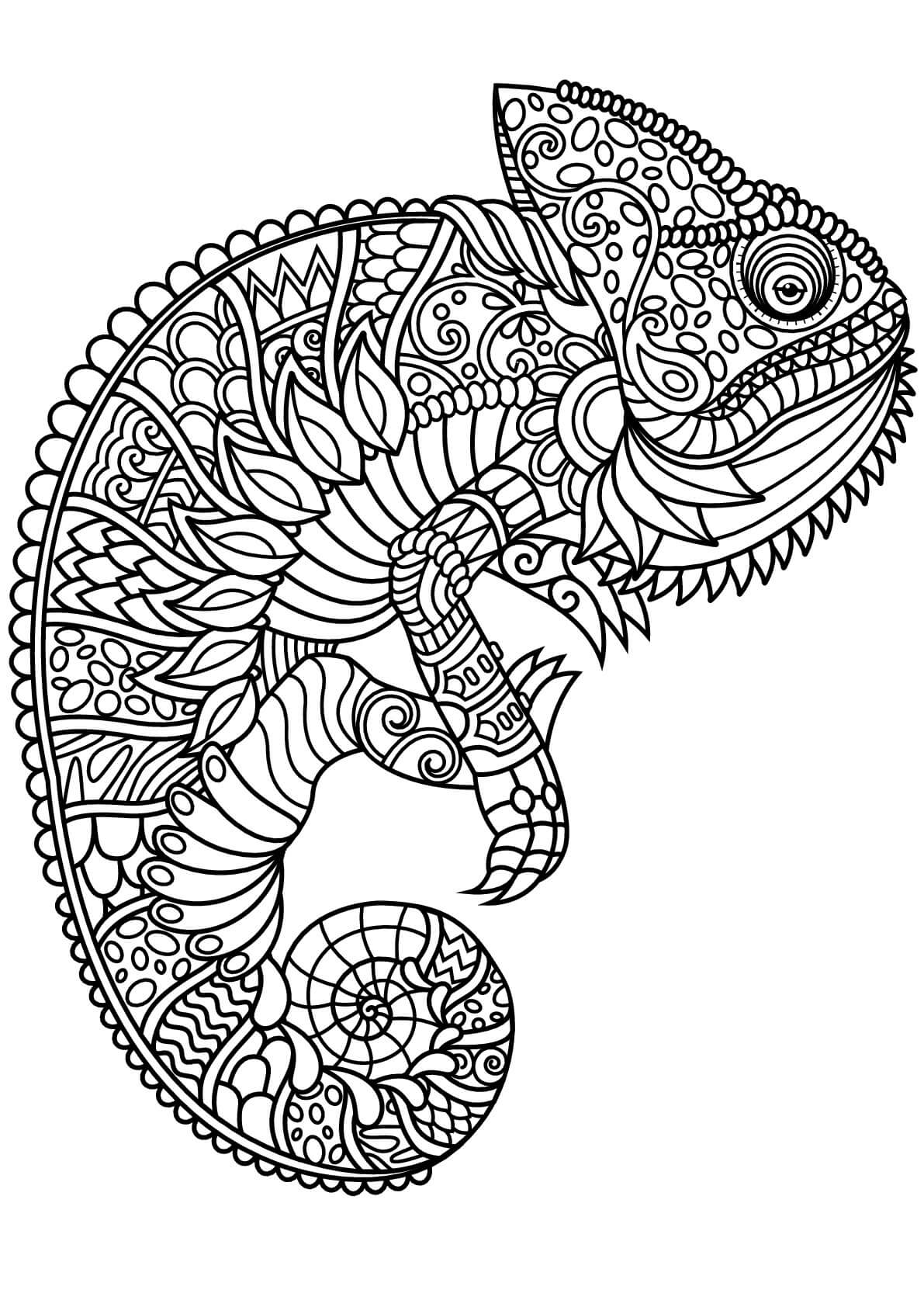desenho de camaleão para pintar