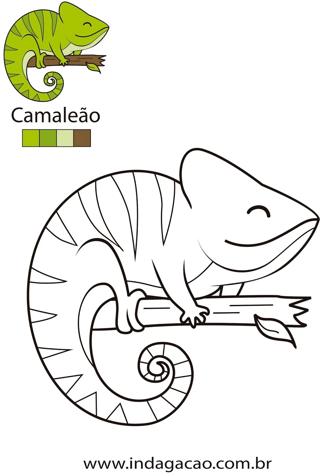desenho de camaleão para adultos