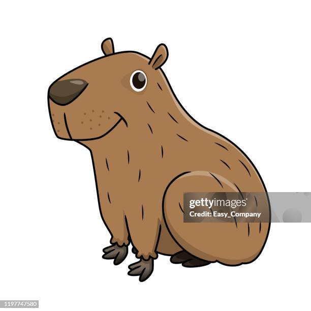 desenho de capivara para imprimir