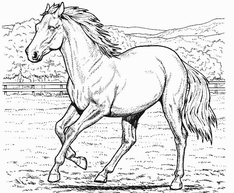 desenhos de cavalos fofos para colorir