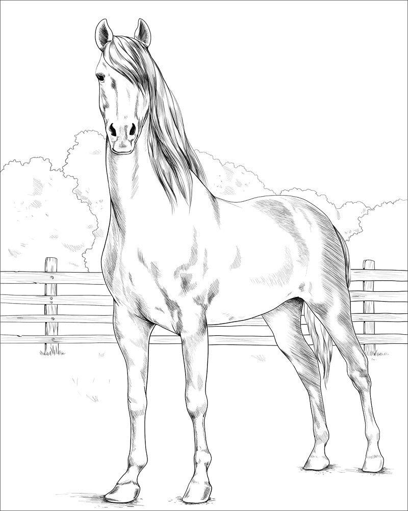 cavalo selvagem para colorir