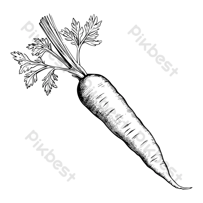 cenoura desenho para colorir para crianças