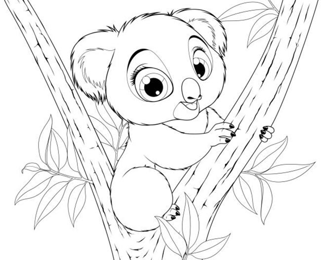 desenho de coala para imprimir e pintar