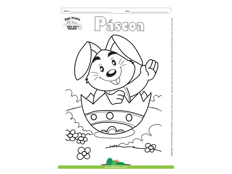 Guia Completo de Cores para Pintar seu Coelhinho da Páscoa