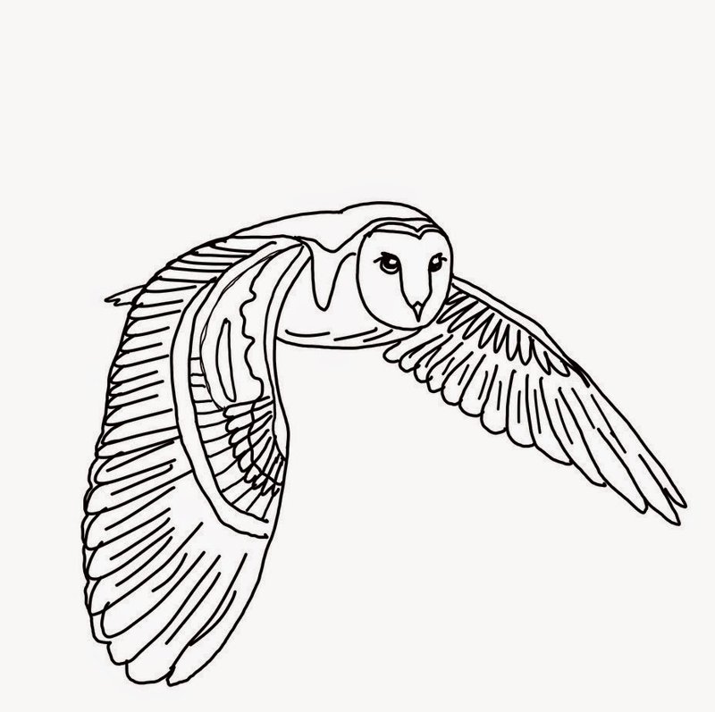 como desenhar coruja para colorir
