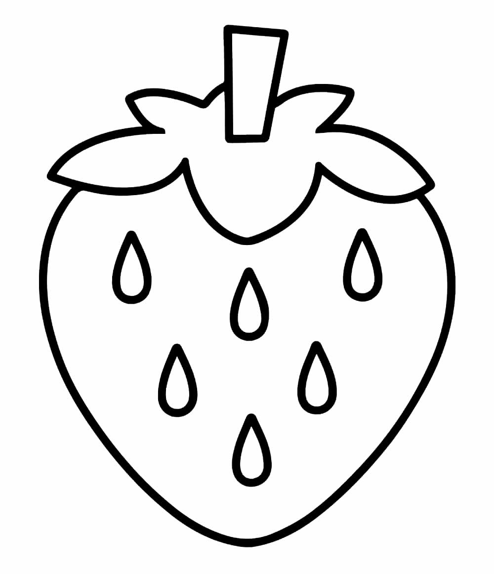 desenho
