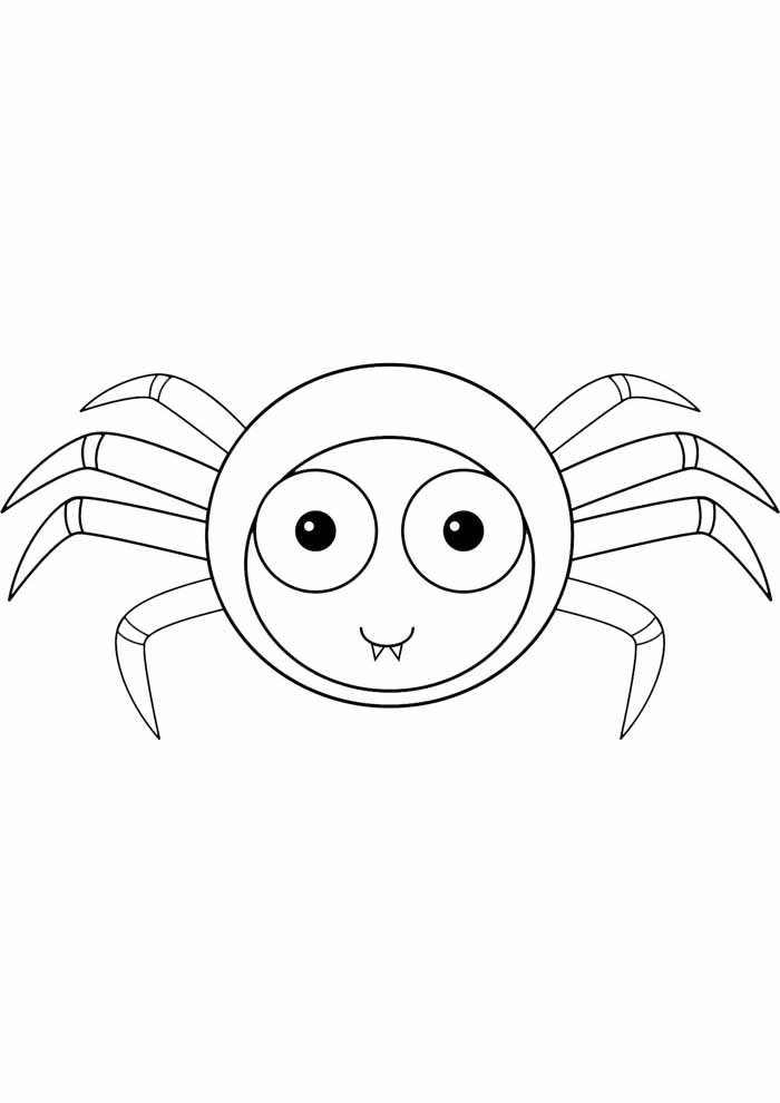 desenho aranha para colorir
