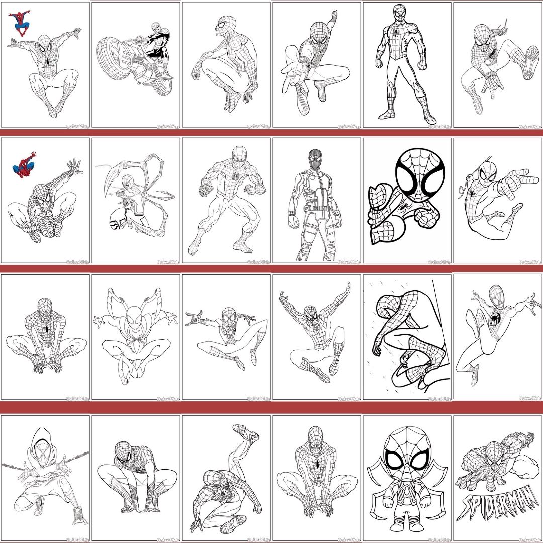 Guia Completo de Desenhos de Aranhas Realistas para Imprimir