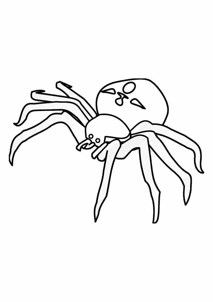 Atividades Educativas: Teias de Aranha para Coordenação Motora