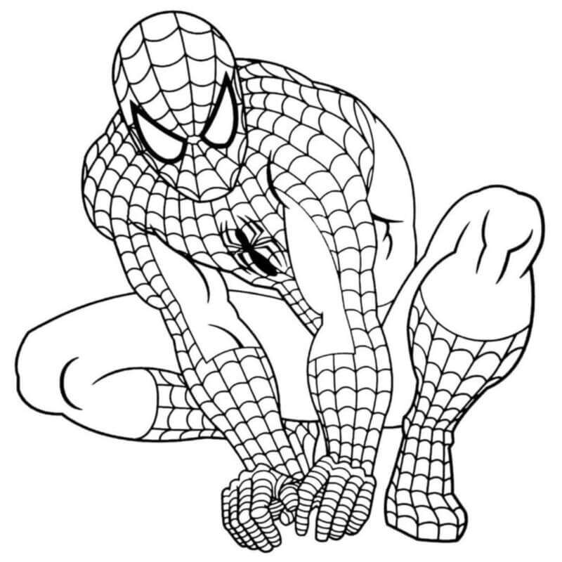 desenho aranha para colorir