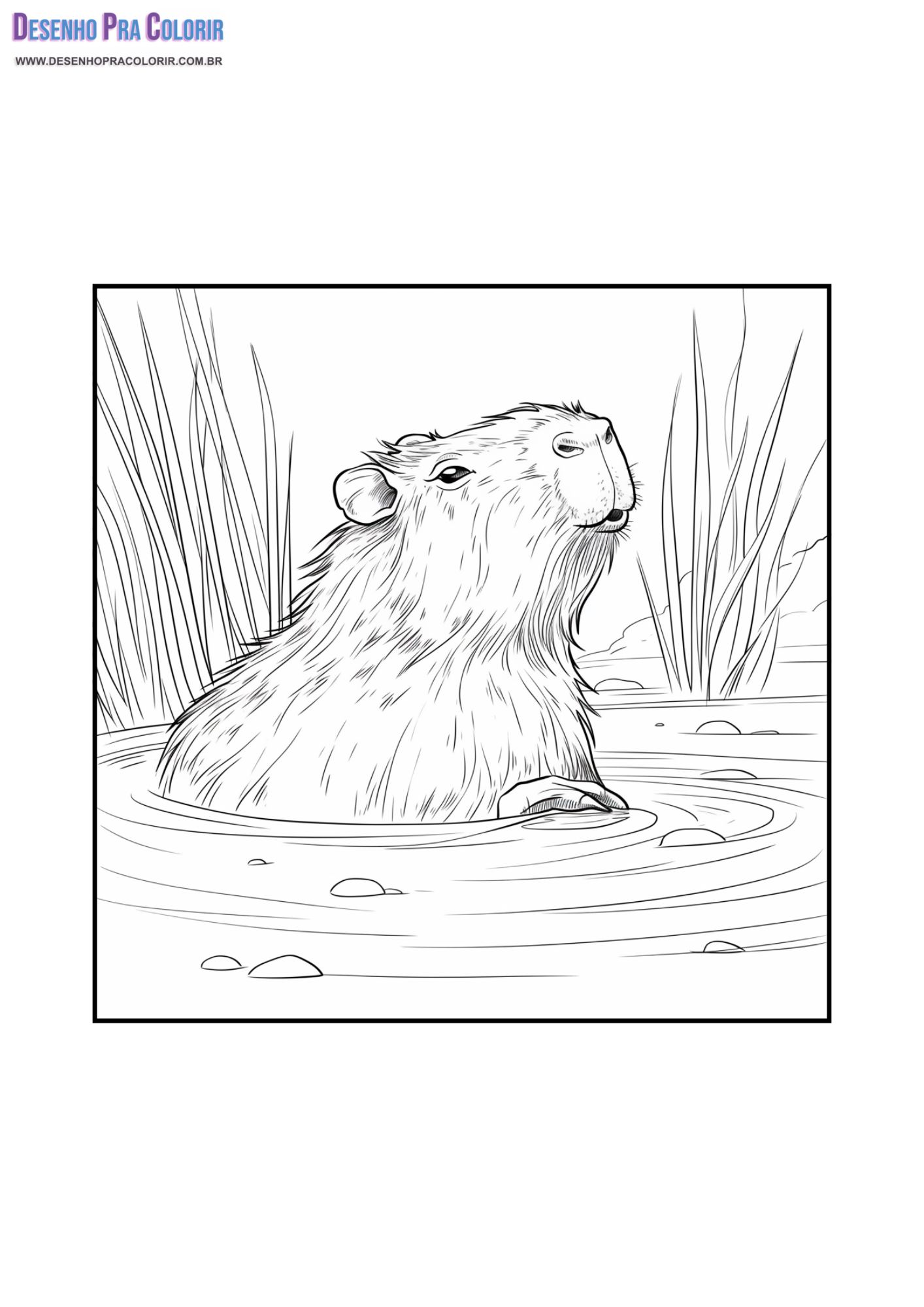 desenho capivara para colorir