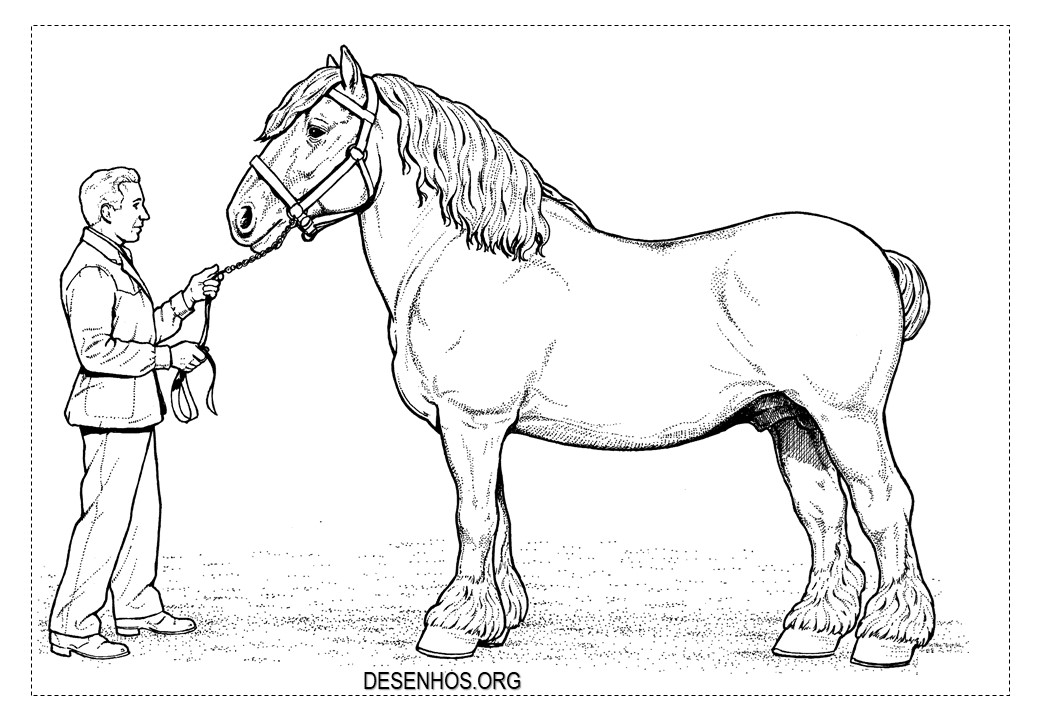 desenho cavalo para colorir