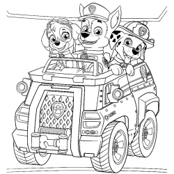 desenho da patrulha canina para colorir