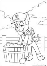 Guia Completo: Cores Originais dos Personagens da Patrulha Canina