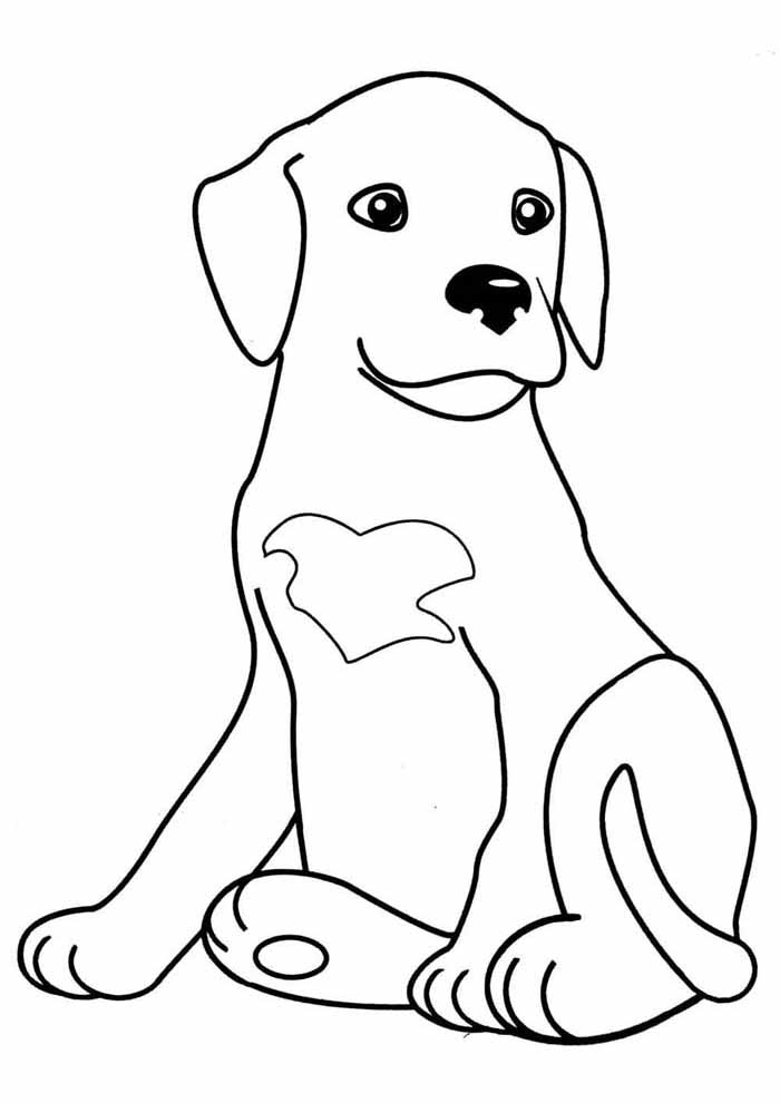 Guia Completo: Como Escolher o Desenho de Cachorro Ideal para Cada Idade