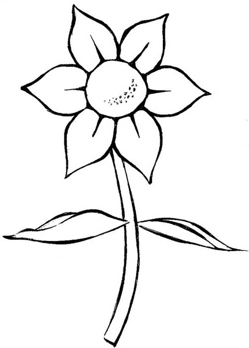 Jardins Encantados: Desenhos de Natureza para Colorir e Aprender