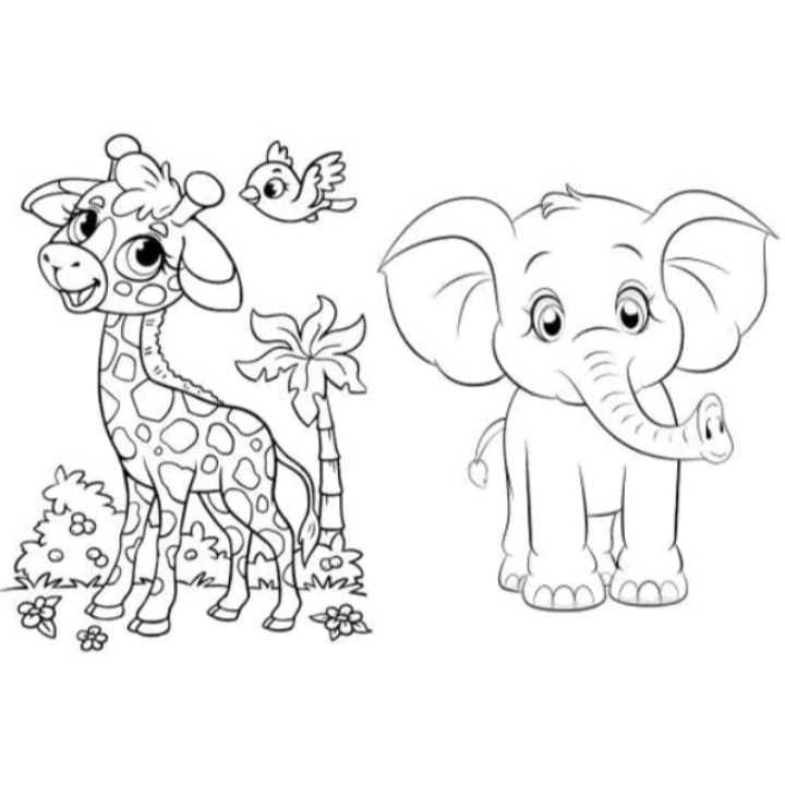 livro de colorir 1 ano imprimir