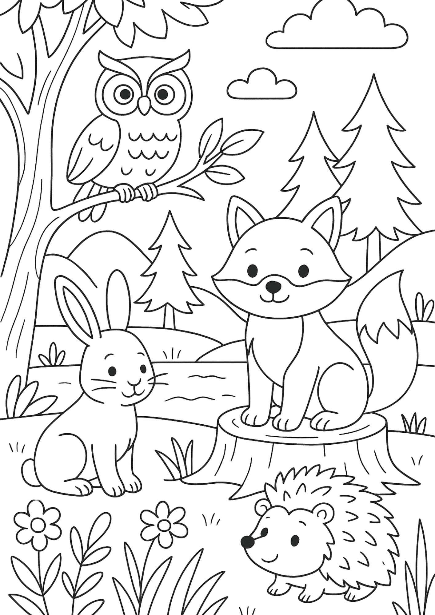 colorir animais da floresta temperada