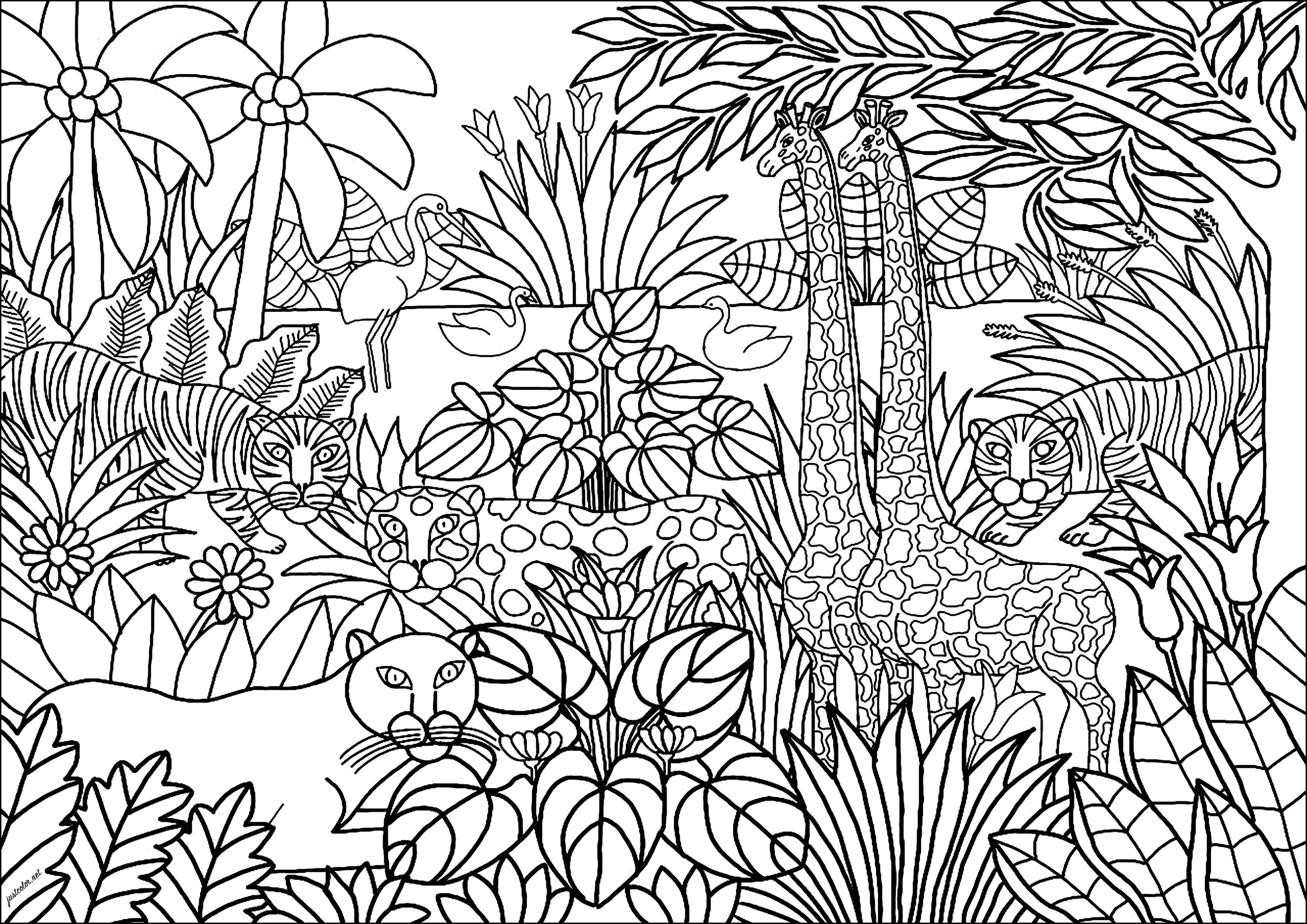 páginas para colorir animais da floresta
