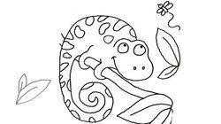 desenhos de ursos para colorir