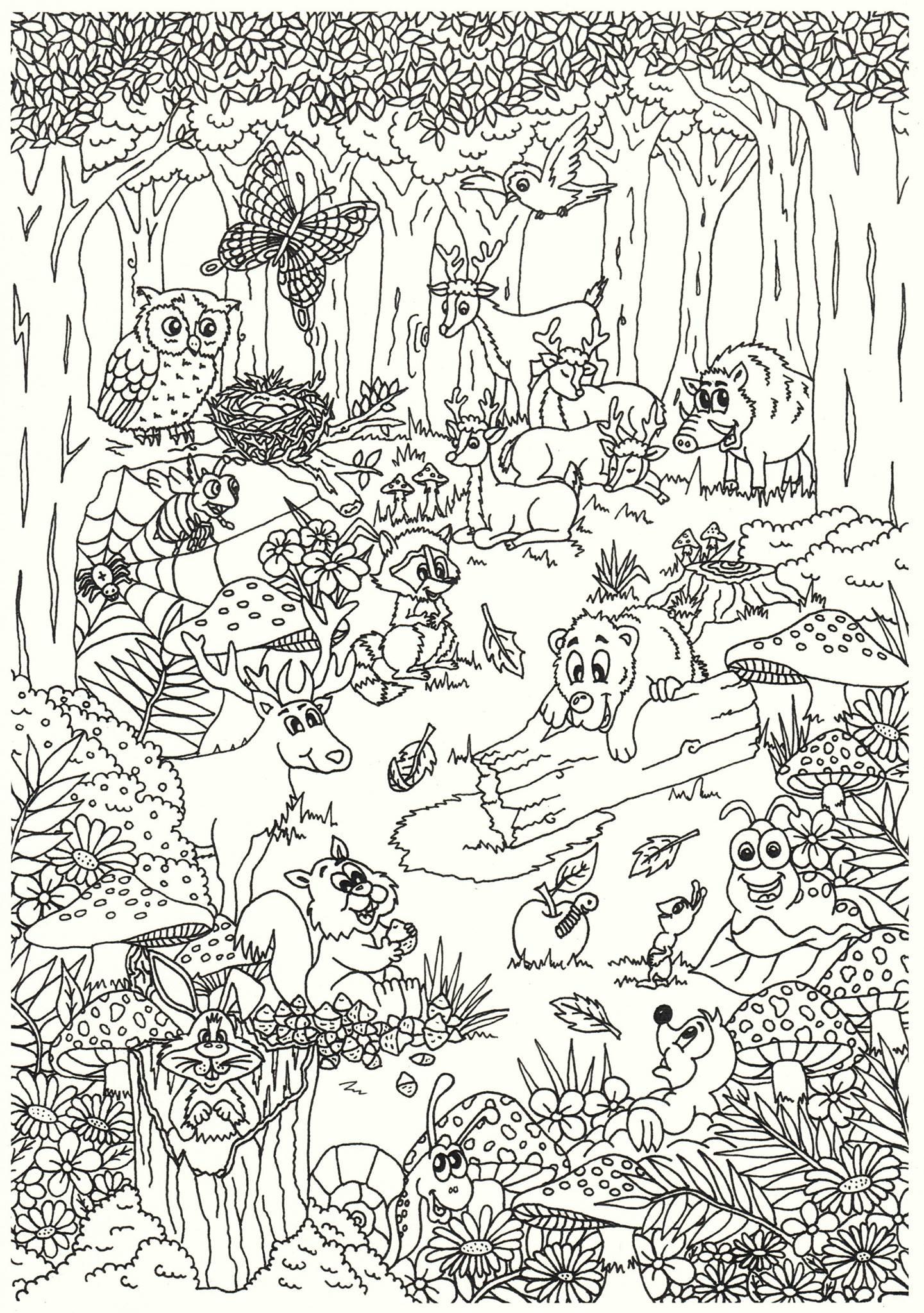 animais da floresta para pintar