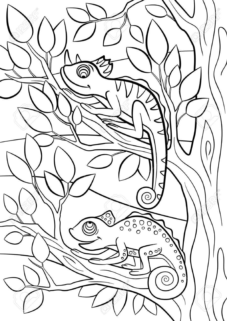animais selvagens para pintar