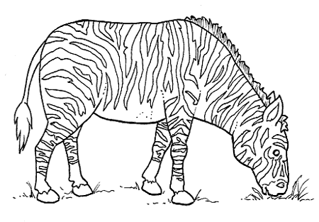 páginas para colorir de animais selvagens