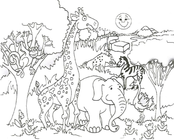 colorir animais exóticos