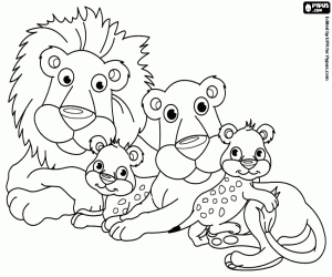 animais da floresta para colorir