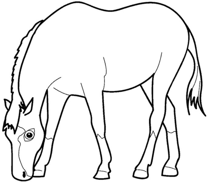 desenhos de elefante para colorir