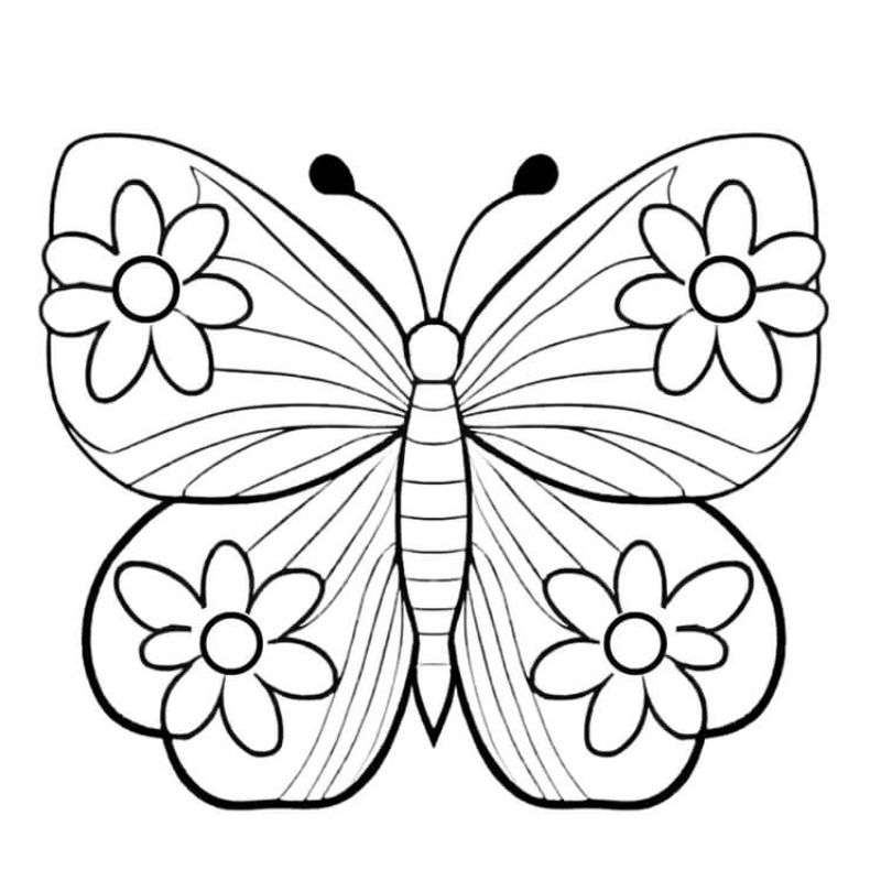 desenho de borboleta para imprimir grátis