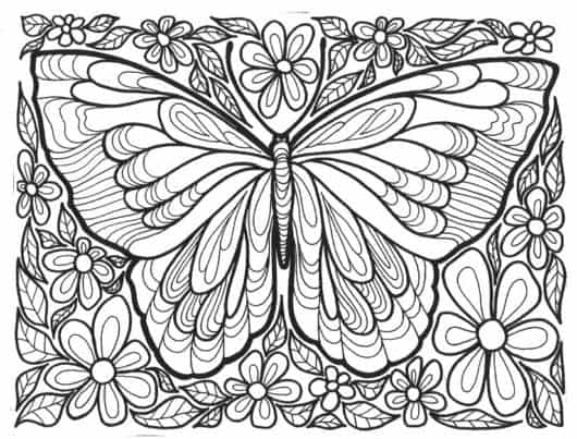 desenho borboleta simples