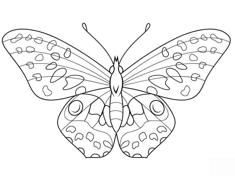 desenho borboleta fofo