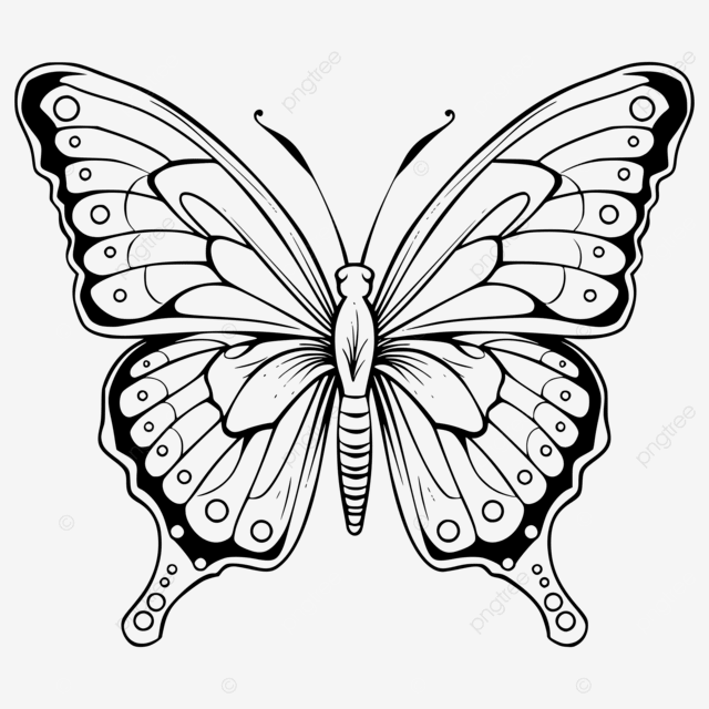 desenho borboleta para adultos