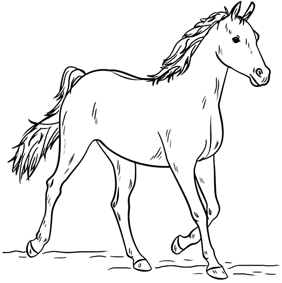 desenhos de cavalos para colorir e imprimir