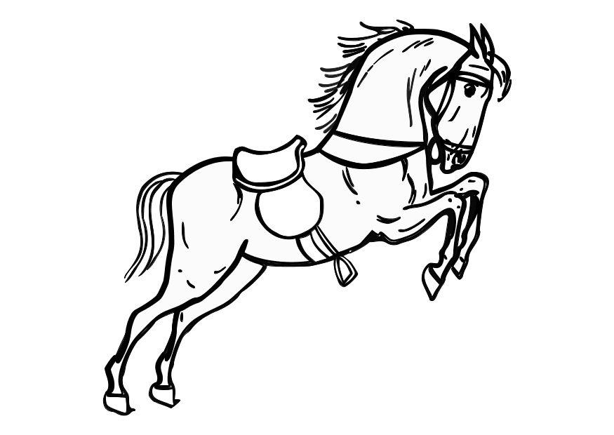cavalo para pintar infantil
