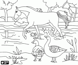 pintura de cavalo para crianças