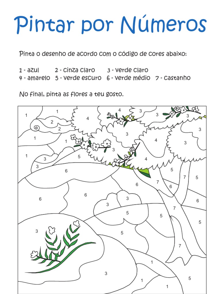 kits de pintura numerada online